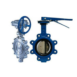 Lug Butterfly Valve