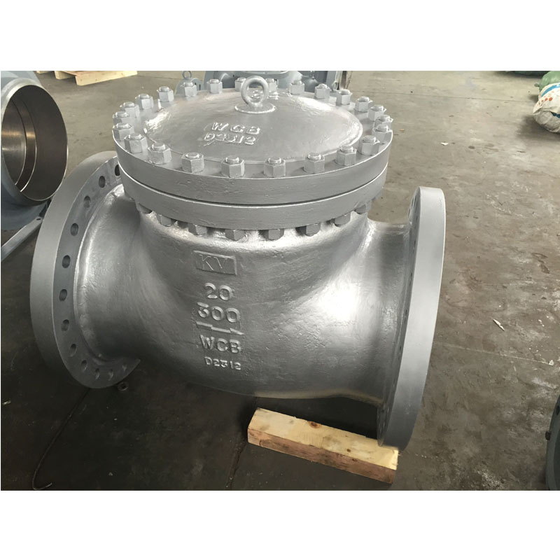 Swing Type Check Valve